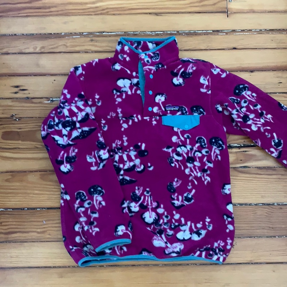 Patagonia mushroom synchilla pullover